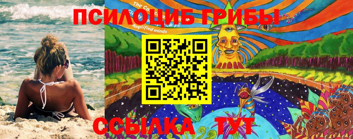 Маркс  Псилоцибиновые грибы GOLDEN TEACHER  Вход с VPN 